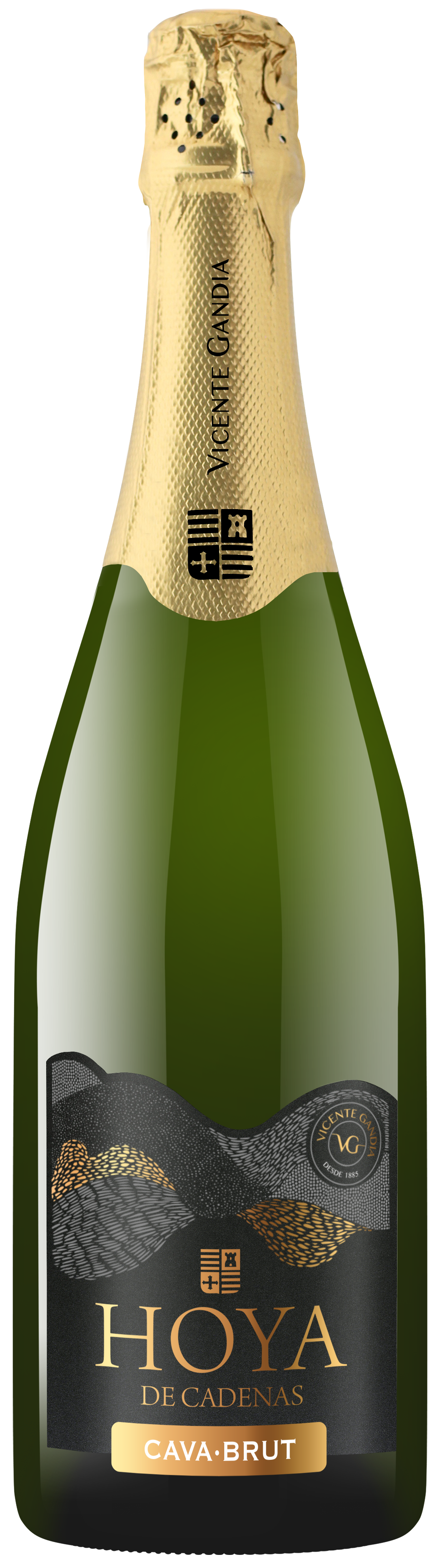 Hoya de Cadenas Brut Cava DO Finca Hoya de Cadenas, Las Cuevas, 75cl